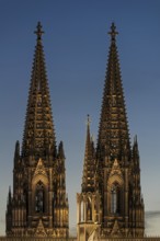 Cologne Cathedral illuminated with LED lights, Cologne, North Rhine-Westphalia, Germany