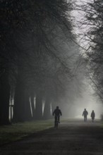 Morning fog in winter, Germany