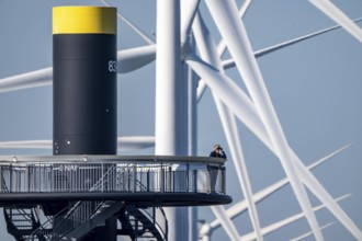Viewing platform at Landtong Rozenburg wind farm, Noordzeeweg, Paal 83 watchtower 22 meters high,