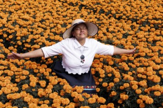 A serene woman enjoys the vibrant display of cempasuchil flowers, traditionally used in Day of the