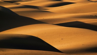 Gran Canaria, dunes, dunes, Maspalomas, sand dunes, sea, Gran Canaria, Canary Islands, Spain
