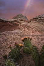 A captivating desert landscape at Coyote Buttes in the Paria Canyon-Vermilion Cliffs Wilderness,