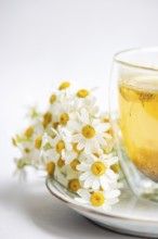 Delicate daisies rest beside a warm chamomile tea cup on a smooth ceramic plate. Set against a
