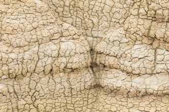 A close-up view of intricate patterns in dried clay, showcasing natural textures and irregular