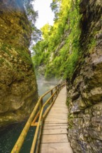 Scenic view of a wooden walkway over a stunning emerald river flowing through the picturesque