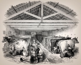 Old English cowshed, 19th century
