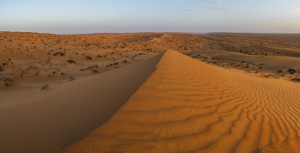 Sand dunes in the Wahiba Sands desert, Oman