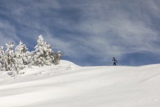 Side view of an unrecognizable person snowboarding down a pristine snowy hill, with snow-covered