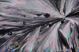 Stunning microscopic image showcasing the intricate patterns and vibrant colors of Hippuric acid