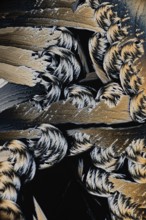 A stunning close-up image showcasing the intricate details of Salicylic acid microcrystals,