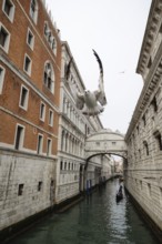 A seagull soars above a Venetian canal, framed by historic architecture and a gondola gliding