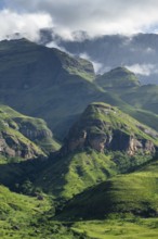 Drakensberg Mountains and Cliffs with Fog, Amphitheatre, Drakensberg National Park, KwaZulu Natal,