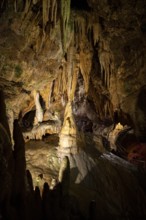 Stalagmites and stalagtites in a cave, Devil's Cave Pottenstein, Franconian Switzerland, Franconia,