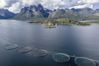Cages of a salmon farm, at Raften at the Raftsund, the waterway between Lofoten and Vesteralen,