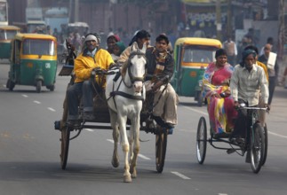 New Delhi, India, 15.01.10 - Horse-drawn carts, rickshaws and tuk tuk taxis on a street in New
