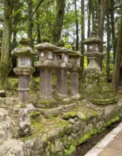 Stone lanterns, Kasuga-taisha shrine, Nara, Japan