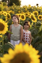 Two children stand among tall sunflowers in a field, enjoying the warm sunlight. The vibrant yellow