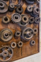 Bramsche, Lower Saxony, Germany, Various cogwheels mounted on a wooden board
