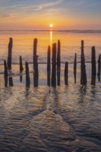 View of old rotten stakes in the Wadden Sea at low tide at sunset, National Park, Unesco, World