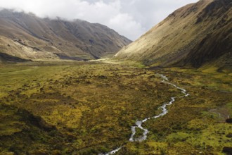 A meandering stream flows through a vast Andean valley at El Altar volcano, Ecuador, surrounded by