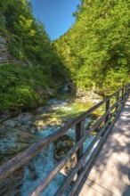 Scenic view of a wooden footbridge over the turquoise radovna river, flowing through the lush
