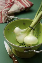 Onion, spring onions in sieve pot