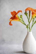 A vibrant display of tiger lily flowers arranged in an elegant white vase. The bright orange petals