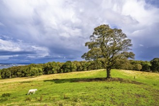 Farms over House of the Binns, Linlithgow, Scotland, UK
