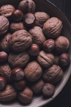 Walnut and hazelnut, close-up, top view, selective focus, toned image, rustic, food background