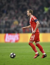 Harry Kane FC Bayern Munich FCB (09) Action on the ball Football, Champions League, Allianz Arena,
