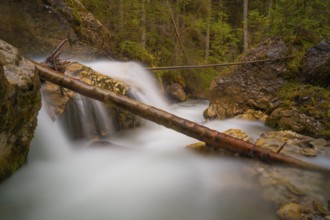 A tree trunk lies across a waterfall, long exposure, Dolomites, Puez-Geisler nature park Park, St.