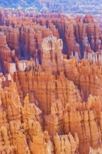 Bryce Canyon, Bryce Canyon National Park, Utah, USA