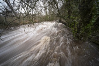 From above, this image captures the violent rush of the flooded river Henares as it surges through