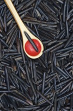 Rice, black wild rice from Canada, North America