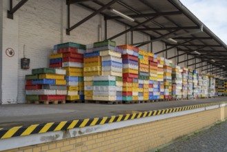 Numerous colored containers are stacked at a warehouse, Sassnitz, Rügen, Insel, Baltic Sea,