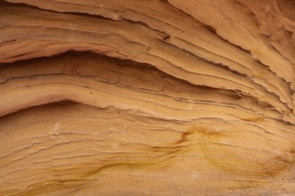 A detailed look at sandstone abstract textures, showcasing smooth, layered lines in warm tones. The