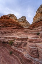 Striking view of the intricate, colorful rock layers at White Pocket, Arizona, showcasing nature's