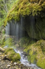 Moss-covered rocks and waterfall, Wutach Gorge, Bonndorf, Baden-Württemberg, Black Forest, Germany