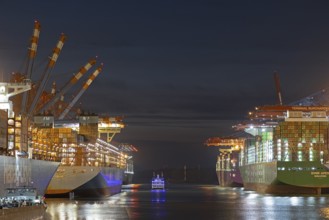 Blue Hour, container port, Eurogate and Burchardkai container terminals, container ships, Raddamper