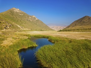 Landscape in Oman, mountains, Wadi Ashawq, road, reeds, waters Salalah, Al Mughsyal / Wadi Ashawq,
