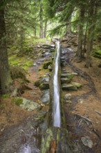 Wooden channel of the Kandelwaal, Martell, South Tyrol, Italy