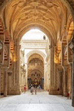 Majestic vault with detailed decorations and impressive architecture, Cordoba