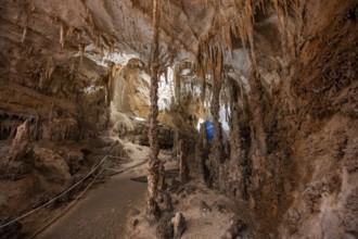 Stalactites and stalagmites, rock formations in a stalactite cave, Grotta del Fico, Gulf of Orosei,