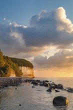 Chalk cliffs in Jasmund National Park, Sassnitz, Rügen, Mecklenburg-Western Pomerania, Germany,