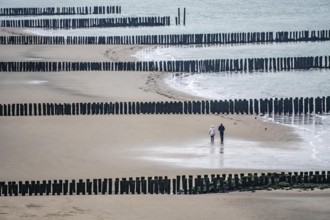 Coastal protection, through wooden posts, paalhoofden, on the beach, breakwater, the piles, some of