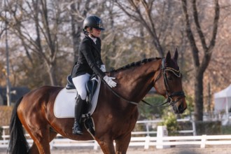 Teenage girl in classical dressage attire riding a brown horse, focusing intently ahead