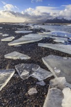 Ice floes on the beach, snowy, waves, sea, cloudy mood, winter, Lonsvik, Höfn, Iceland