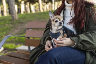 A woman with long hair holds a small chihuahua on her lap while sitting on a wooden bench. The