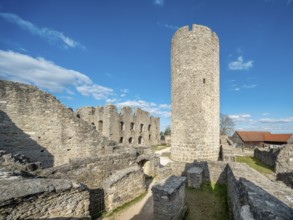 Wolfstein castle ruins, Neumarkt in der Upper Palatinate, Upper Palatinate, Bavaria, Germany