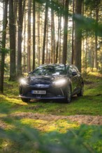 Black car in a mystical forest, illuminated by sunbeams, Deer E- Carsharing vehicle MG4, district